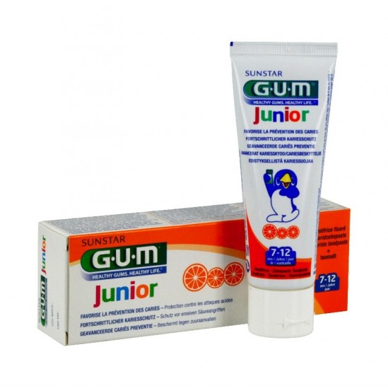 Gum junior dentifrice...