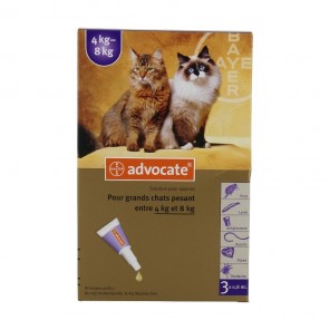 Bayer Advocate Spot-On pour Gros Chats (4-8kg) x3