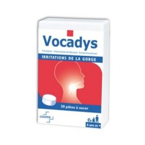 Vocadys irritations buccales boîte de 30 pâtes buccales