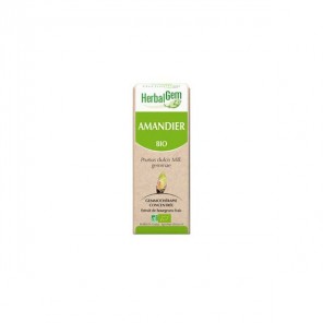 Herbalgem amandier bio 30ml