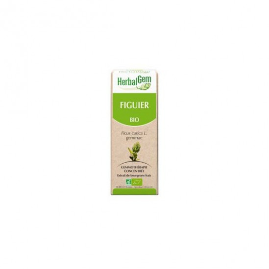 Herbalgem figuier bio 30ml