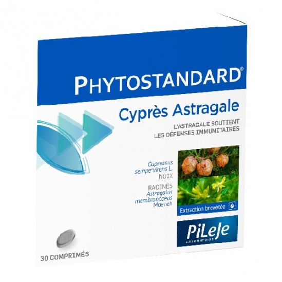 Pilèje phytostandard cyprès/ astragale