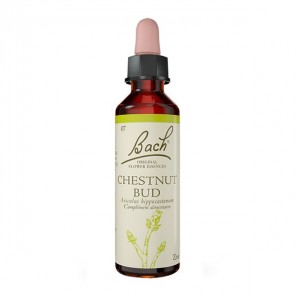 Fleurs de Bach Chestnut Bud n°7  - 20ml