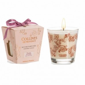 Collines de provence bougie parfumée plume de soie 180g