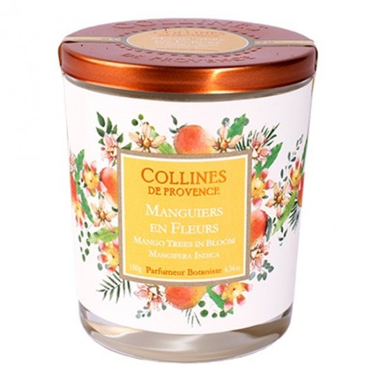 Collines de provence bougie parfumée manguiers en fleurs 180g