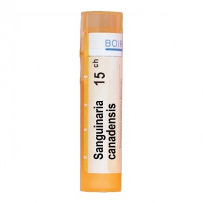 Boiron sanguinaria canadensis dose 15ch 4g