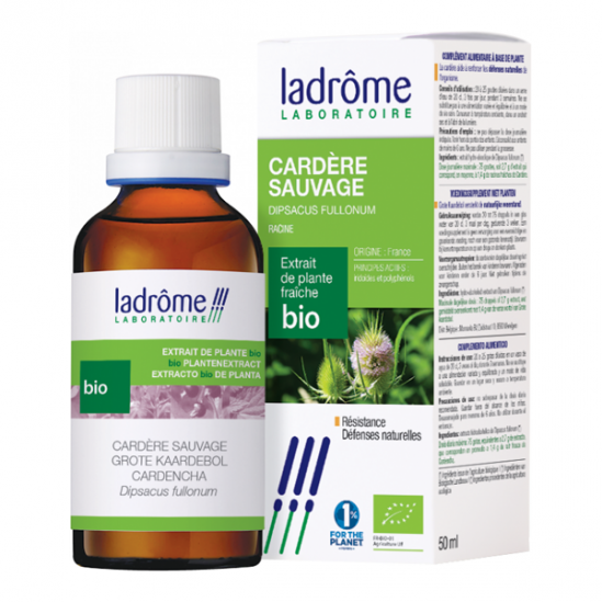 Ladrôme extrait de plante fraîche bio cardère sauvage 50ml