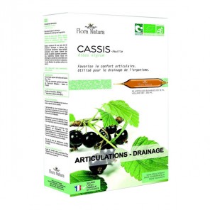 Flora natura cassis articulations & drainage bio 20 ampoules 15ml