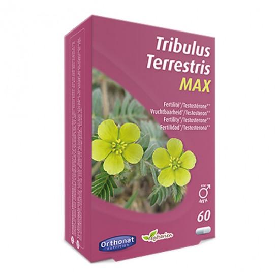 Trenker orthonat tribulus terrestris max 60 gélules