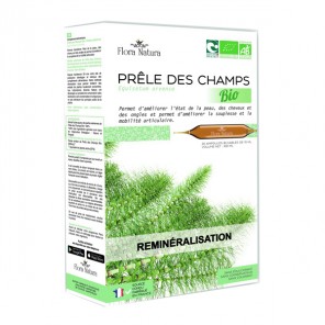 Flora natura prêle des champs bio 20 ampoules