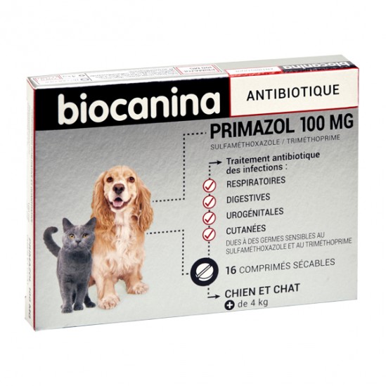 Biocanina antibiotique primazol chien et chat 100mg