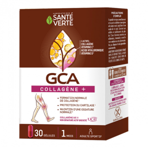 Santé Verte GCA FLEX + Protection & Fonctionnement du cartilage 30 gélules